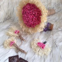 Baby trắng & Glixia hồng