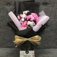 Hoa cotton Trắng Hồng