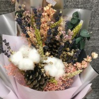 Hoa cotton Trắng