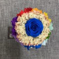 /album/products-/a20799469-893403570811479-5497225590745289234-n-258x258-jpg1/